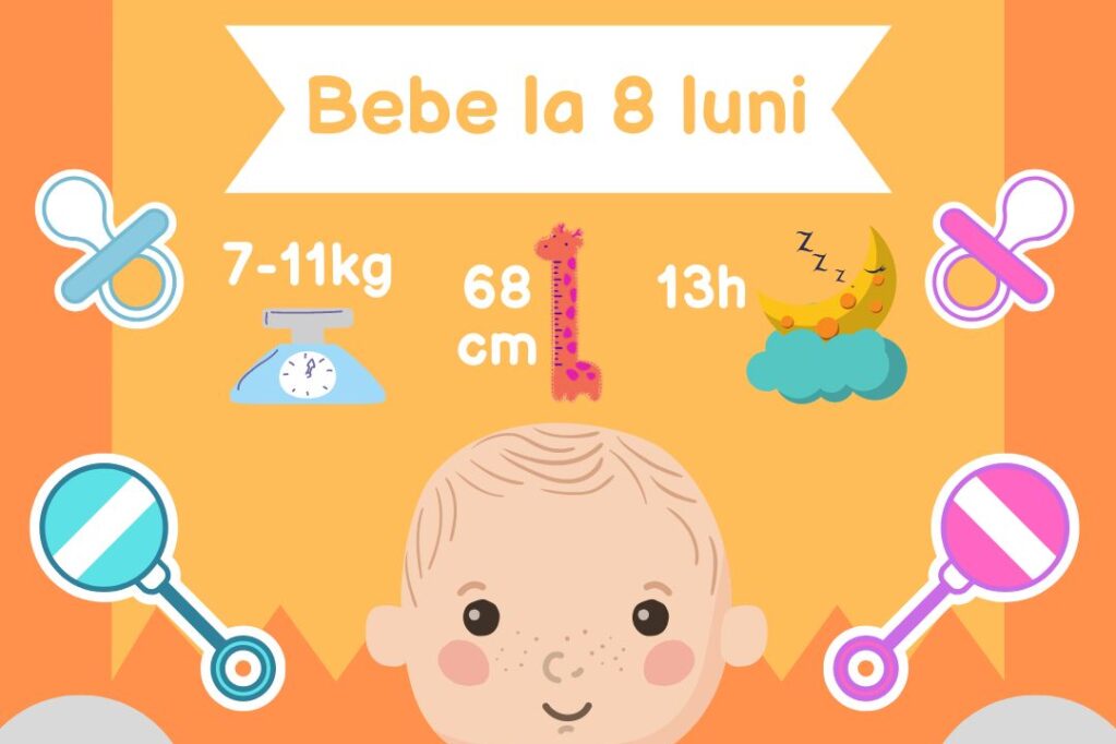 Bebelușul la 8 luni: somn, alimentație, suplimente, activități